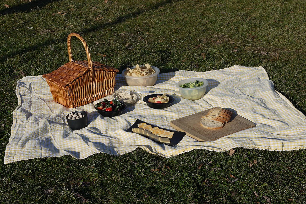 picnic-4784034_1280