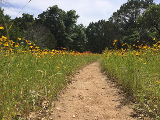 Hells Hill Trail Run