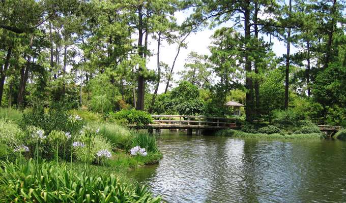BCO loves Japanese Garden, one of Houston's hidden gem
