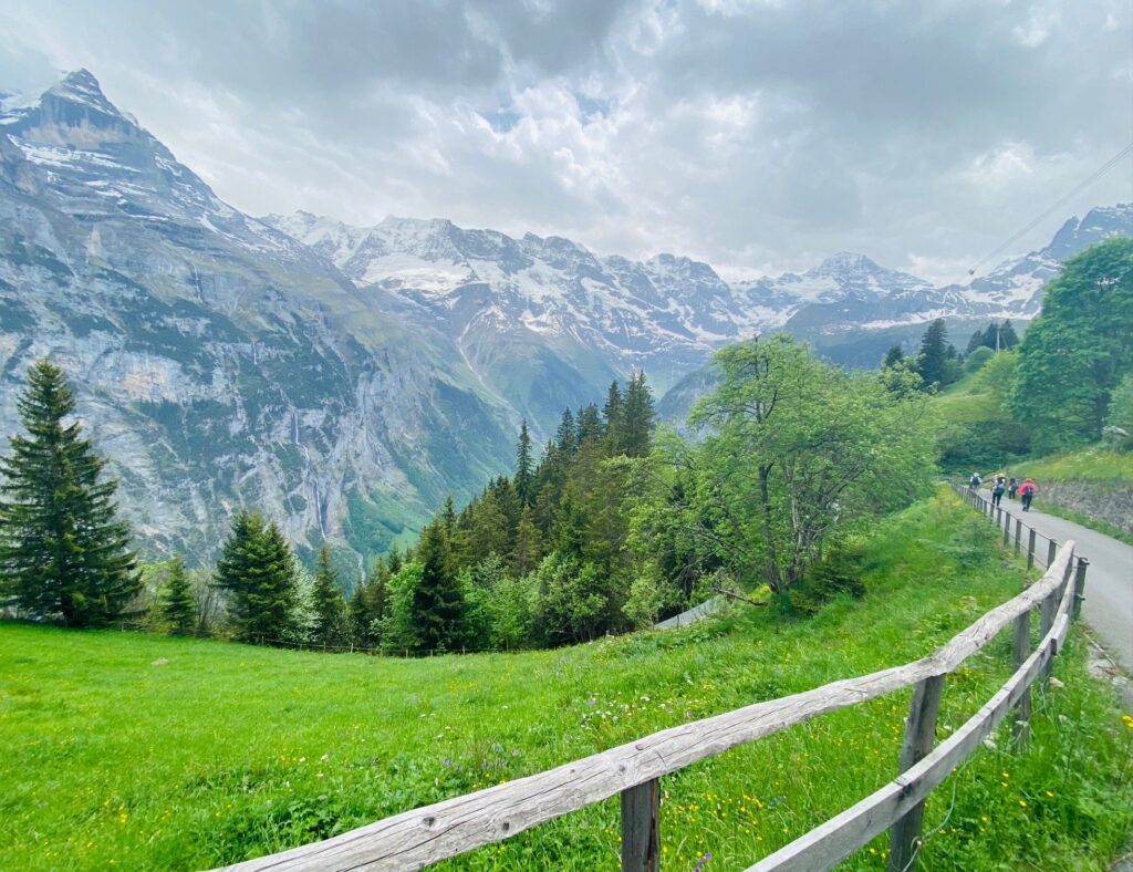 Hiking Switzerland trail with alps in background. green grass