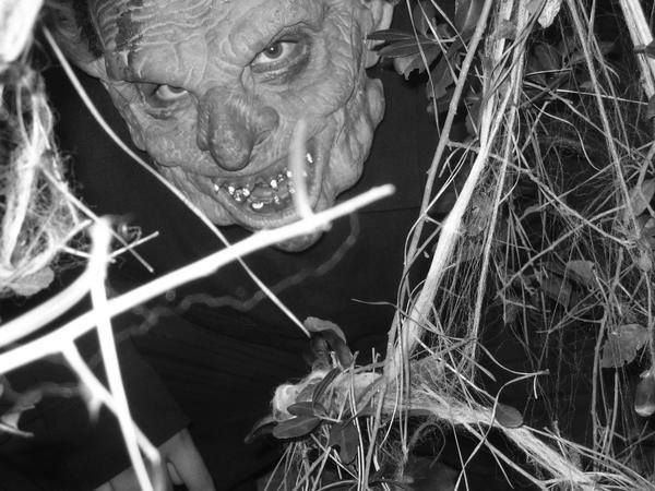 Haunted Trails Haunted Attraction