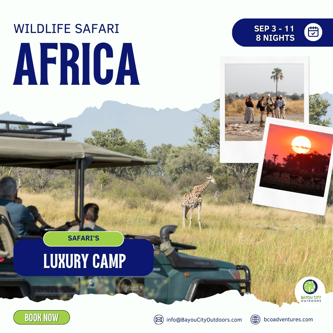 African Safari Adventure