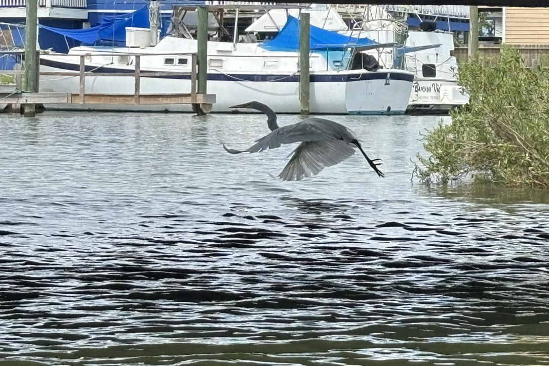 Kemah area