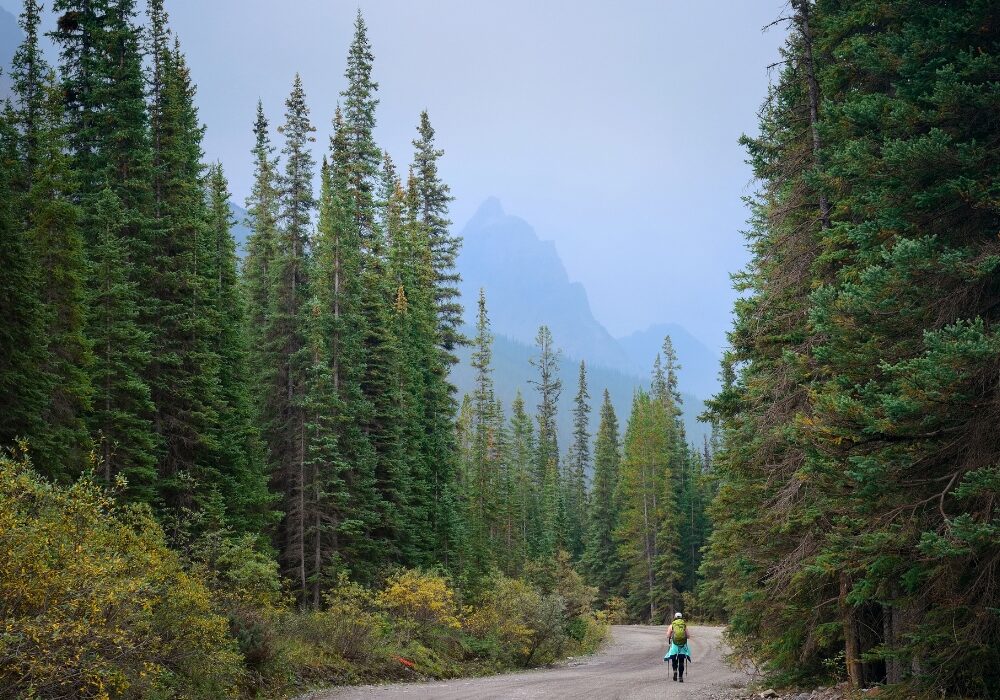 Banff NP2