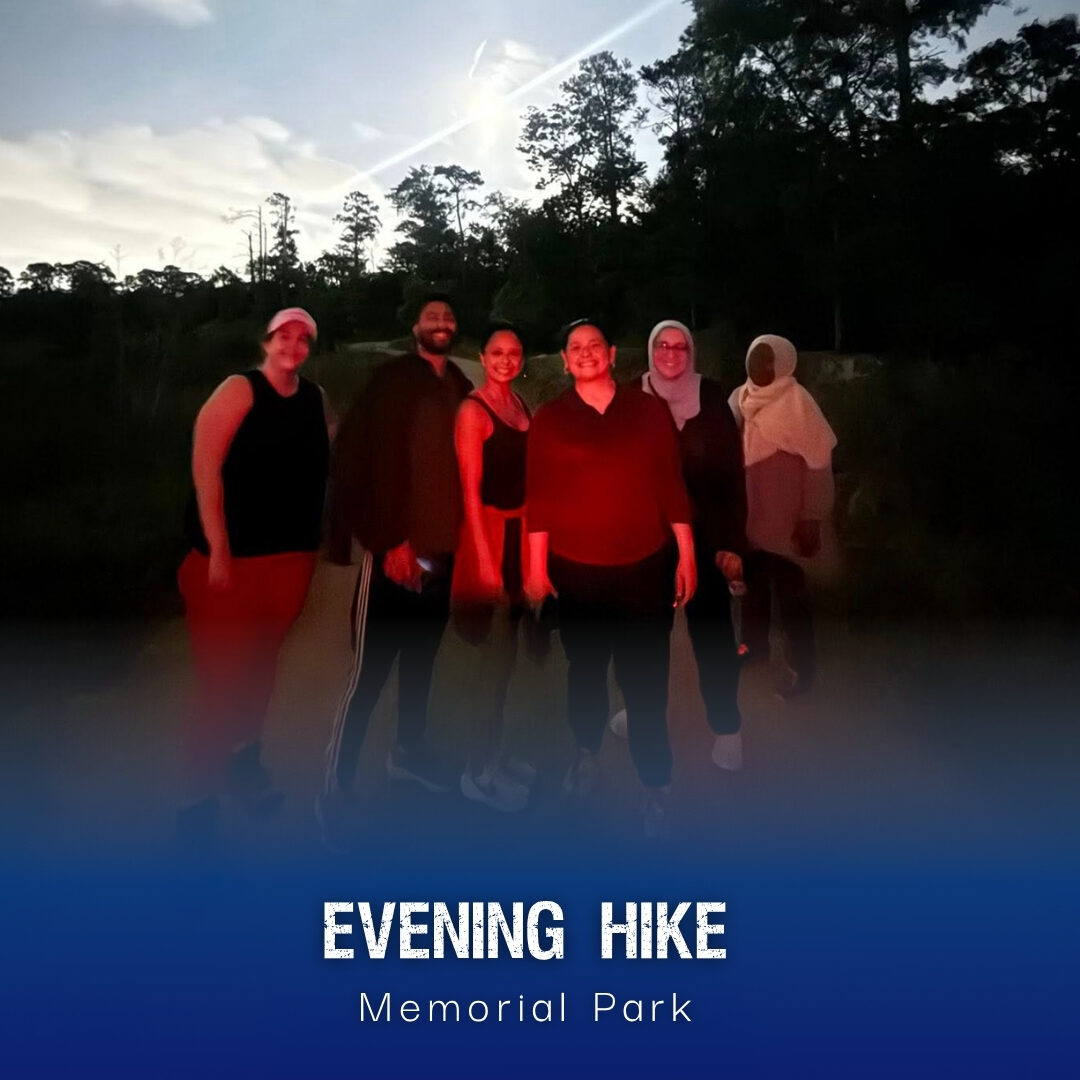 Evening Forest Hike