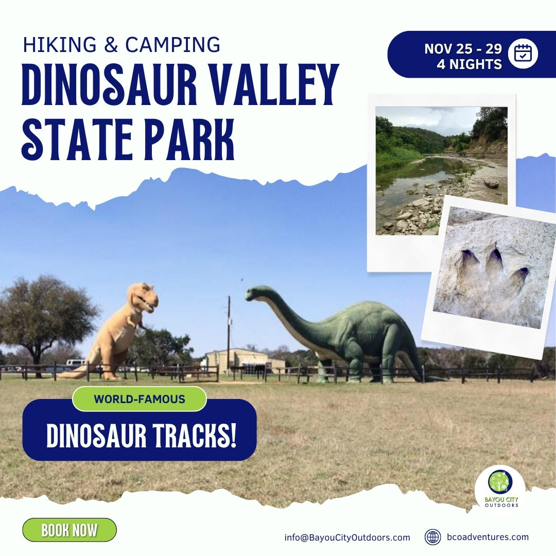 Camping Dinosaur Valley